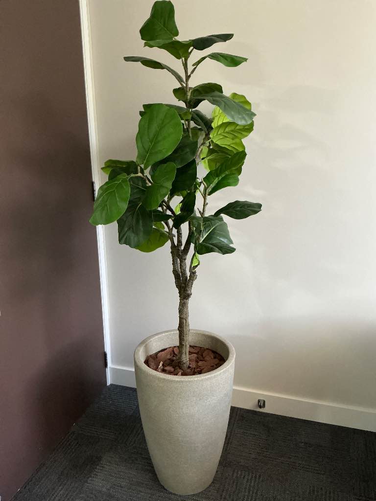 PLANTA/FICUS ARTIFICIAL DE CHÃO